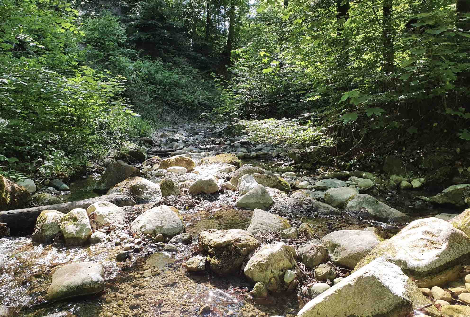 river river