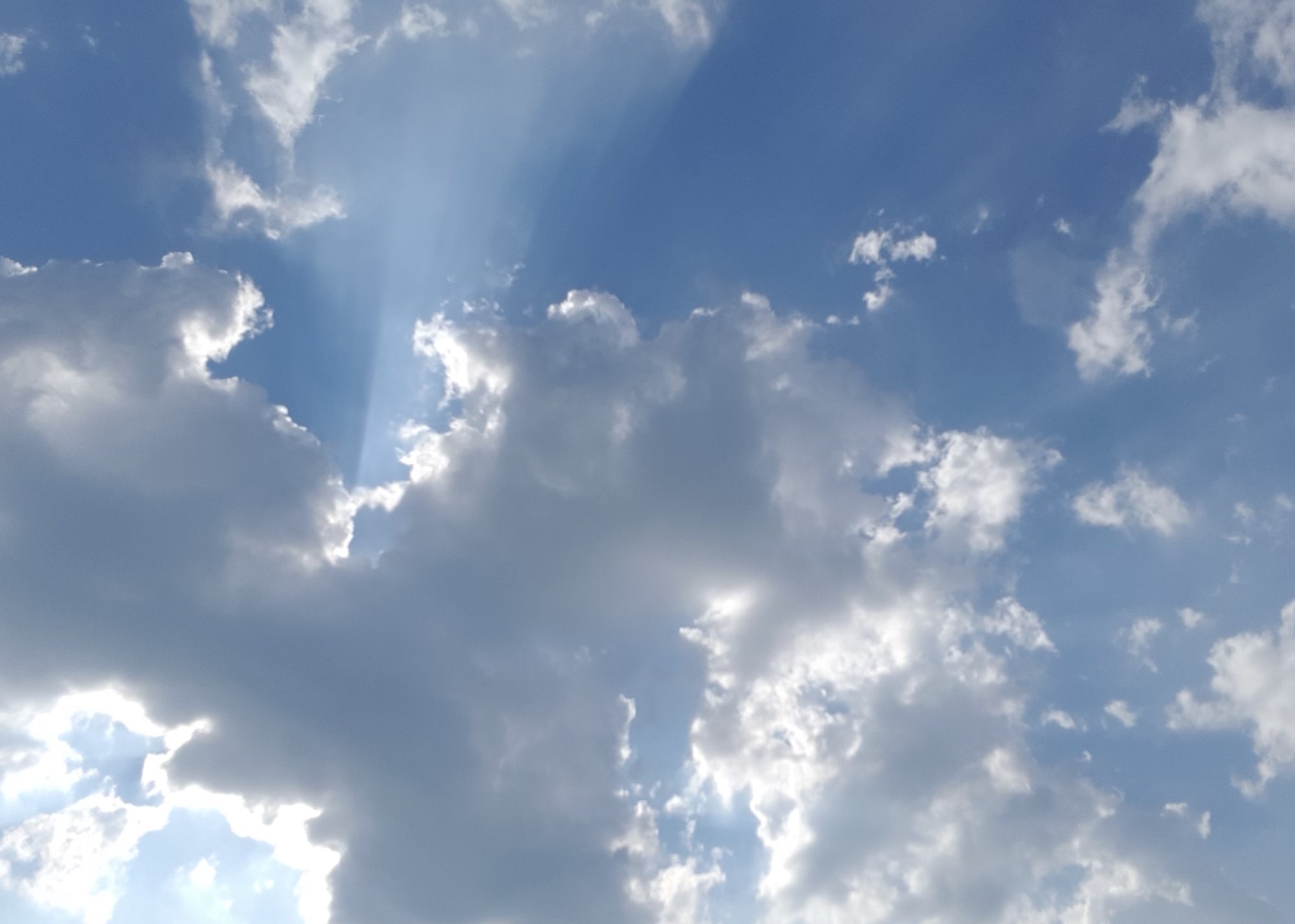 sky1 sky1